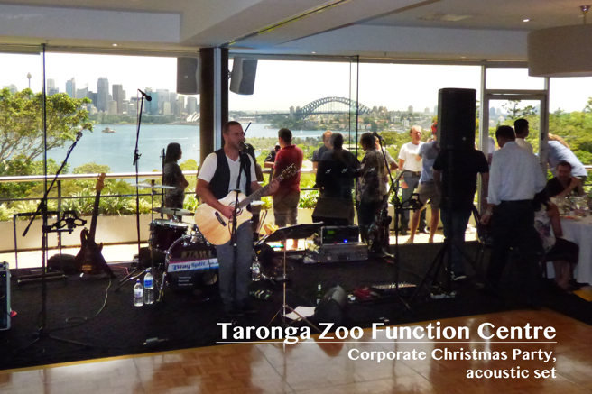 Chris performing on acoustic guitar at the Taronga Zoo Function Centre overlooking Sydney harbour.